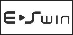 E-Swin
